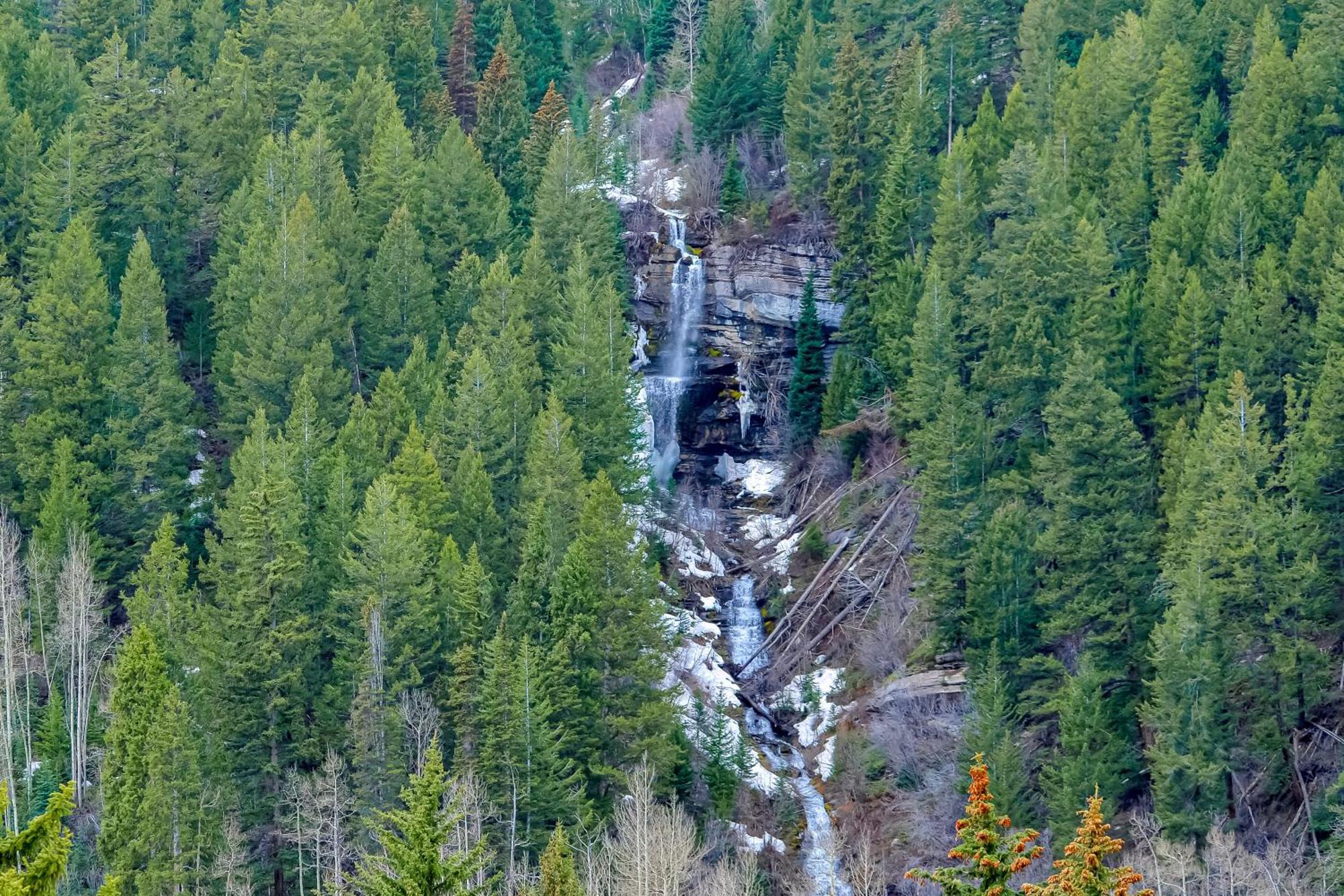 베일 Pitkin Creek 아파트 객실 사진